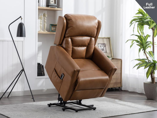 Sandringham Armchair (Lift and Tilt) (Dual Motor)