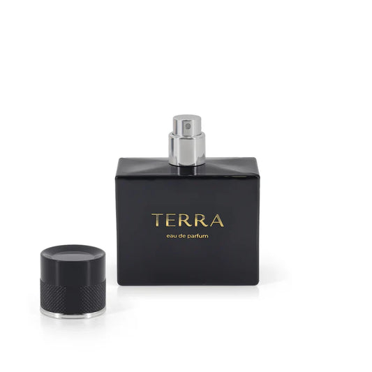 Regency Terra Inspired by Terre d'Hermes 50ml