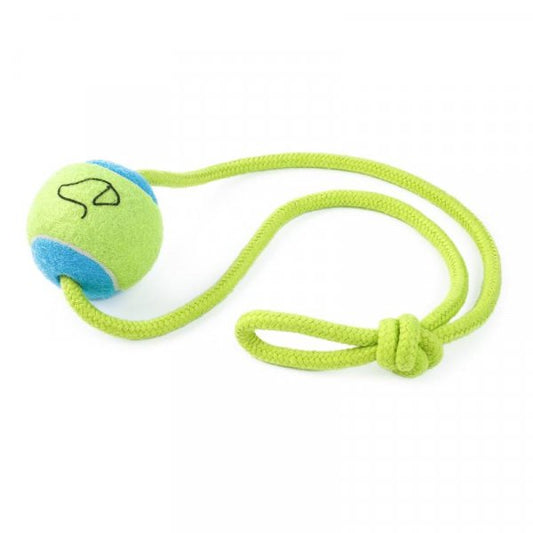 Zoon Tennis Ball On A Rope