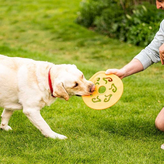 Zoon Dog Spinner