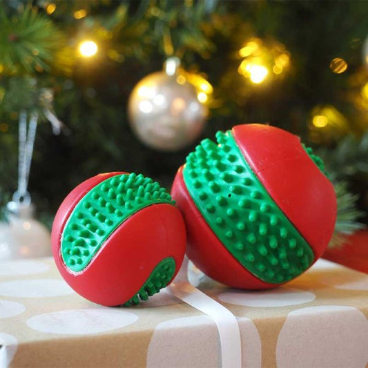 Zoon Large Dental GumBall