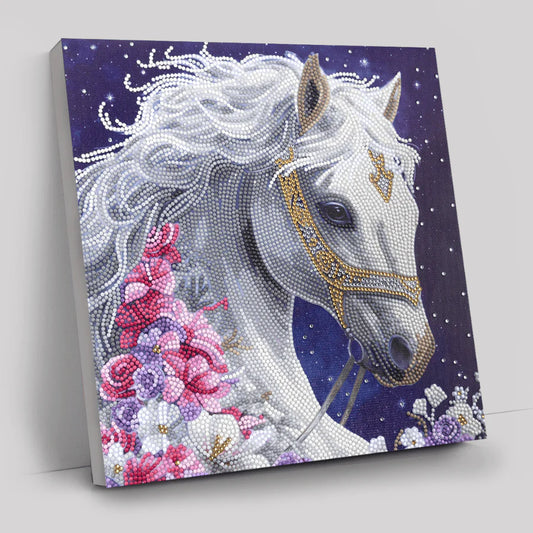 Craft Buddy "Mystic Beauty" Crystal Art Canvas Kit 30x30cm