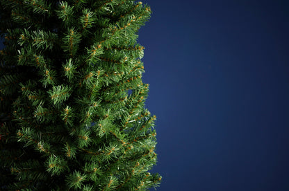 Festive Green Glenmore Pine Tree
